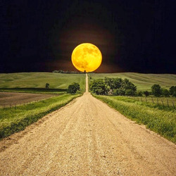 Пазл: В конце пути