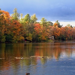 Пазл: Гатчинский парк