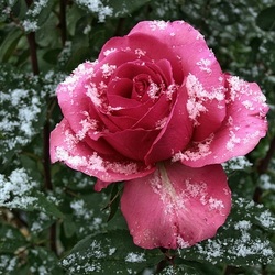 Пазл: В Карелии выпал снег