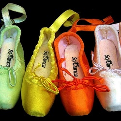 Пазл: Пуанты