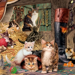 Пазл: 13 котят