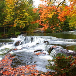 Пазл: Краски осени