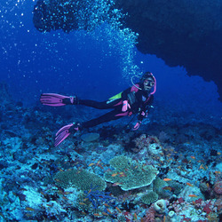 Пазл: Морские глубины