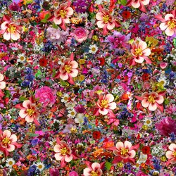 Пазл: Цветы  