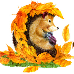 Пазл: В осенней шубке