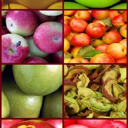 Пазл: Яблочный коллаж