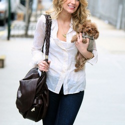 Пазл: Блейк Лайвли