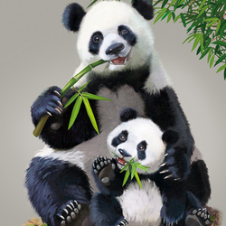 Пазл: Бамбуковые мишки