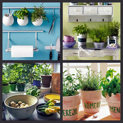 Пазл: Рассада