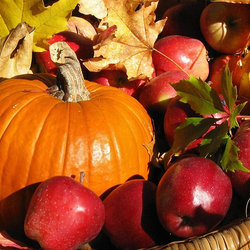 Пазл: Осенний урожай