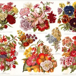 Пазл: Винтажное