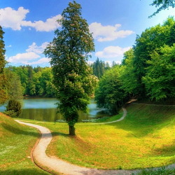 Пазл: Озеро в лесу