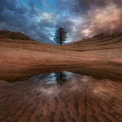 Пазл: Озеро в Аризоне