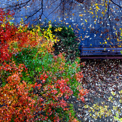 Пазл: Осень