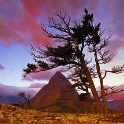 Пазл: Высоко в горах