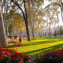 Пазл: Осенний парк