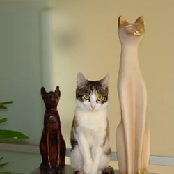 Пазл: Три статуэтки