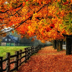 Пазл: Яркие краски осени