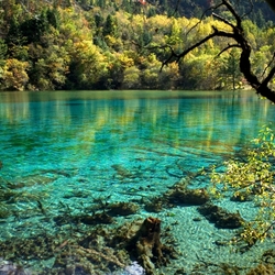 Пазл: Озеро 5 цветов в Цзючжайгоу