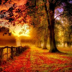 Пазл: Осенний блюз