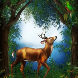 Пазл: Поляна