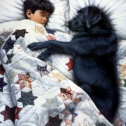 Пазлы на тему «Joshua Spies»