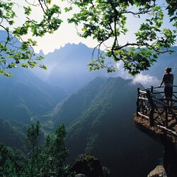 Пазл: Наедине с природой