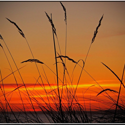 Пазл: Закат на море