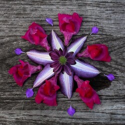 Пазл: Узор из цветов и лепестков