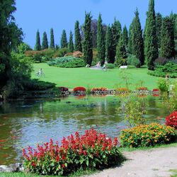 Пазл: Летний день у пруда