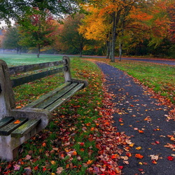 Пазл: Осень в парке