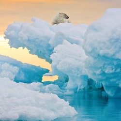 Пазл: Среди льдов