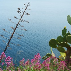 Пазл: Над морем