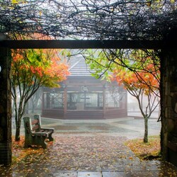 Пазл: Туманный день