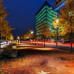 Пазл: Бульвар звёзд в Берлине