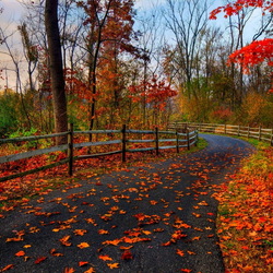 Пазл: Осень в парке
