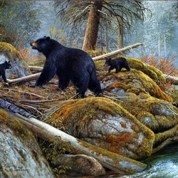 Пазл: Черные медведи
