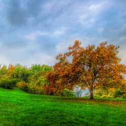 Пазл: Красивая осень