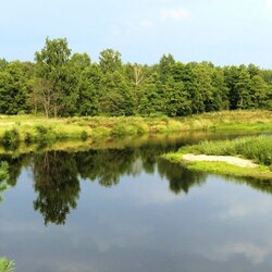 Пазл: Отмель