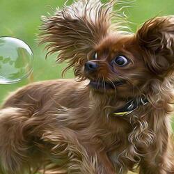 Пазл: Кто ты? Что ты?