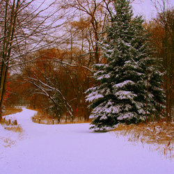 Пазл: Зима