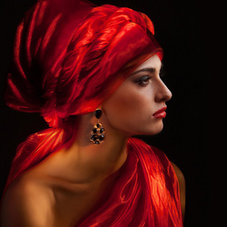 Пазл: Девушка с серёжкой