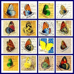 Пазл: Бабочки