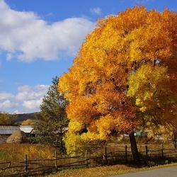 Пазл: Конец лета