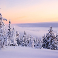 Пазл: Морозный день