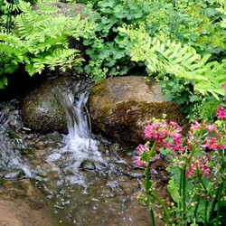 Пазл: Ручеек в парке