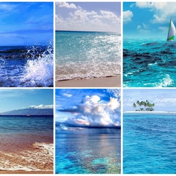 Пазл: Морской коллаж