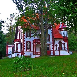 Пазл: Старинный дом в лесу 