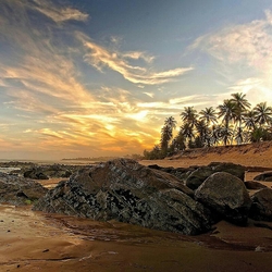 Пазл: Пальмы и закат