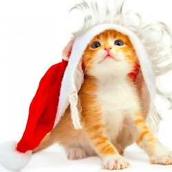 Пазл: Снегурок